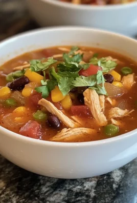 Crock Pot Chicken Tortilla Soup