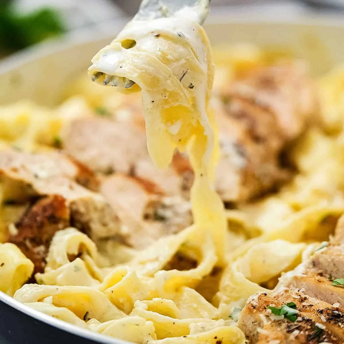 Chicken Alfredo